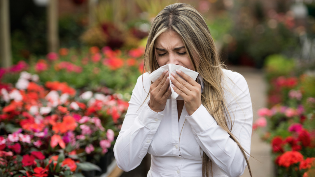 Hayfever Season in Ireland: When It Starts, What Triggers It & How to Survive It