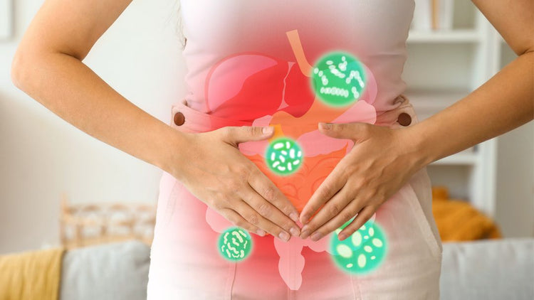 Prebiotics, probiotics and postbiotics for digestive health