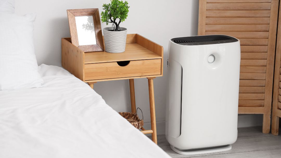 Salt Therapy & Air Purifiers: Do They Help Respiratory Health?
