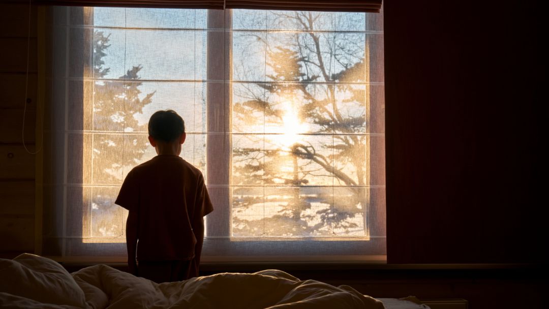 Person standing by a window in winter sunlight