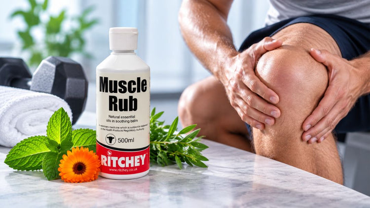 Ritchey Muscle Rub 500 ml veterinary medicine bottle featured in a guide to human-use safety.