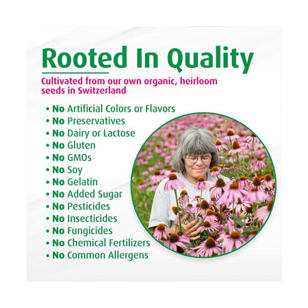 A promotional graphic for echinacea seeds with the headline 'Rooted In Quality' and bullet points listing quality claims such as organic, heirloom seeds from Switzerland, no artificial colors or preservatives, and no pesticides. A circular inset photo shows an older woman holding pink echinacea flowers in a field.