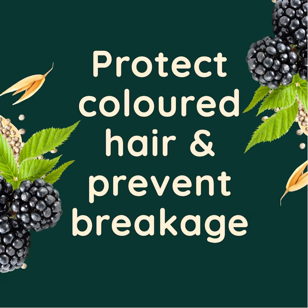 A dark green square graphic with the text 'Protect coloured hair & prevent breakage' in large cream lettering, surrounded by blackberries, green leaves, and small dried leaves.
