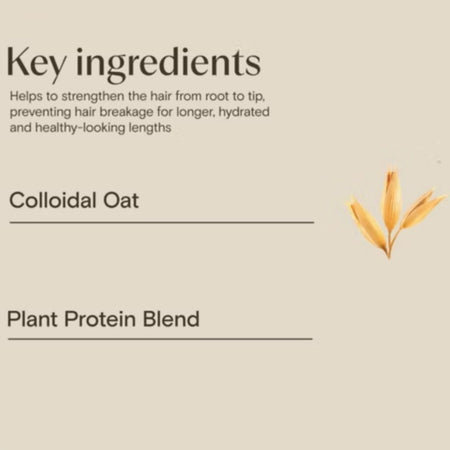 A beige informational graphic with the heading 'Key ingredients' and text listing 'Colloidal Oat' and 'Plant Protein Blend,' plus a small illustration of oat ears on the right.Aveeno Haircare Strength and Length+ Plant Protein Blend 
300ml
