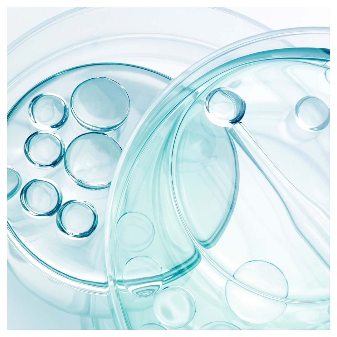 Close-up of translucent clear plastic or glass petri dishes with raised circular wells, rendered in soft aqua and white tones.