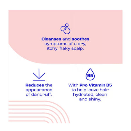 An informational graphic with a pink header and blue text describing scalp benefits: cleansing and soothing dry, itchy, flaky scalp; reducing dandruff appearance; and helping hair stay hydrated, clean, and shiny with Pro Vitamin B5.