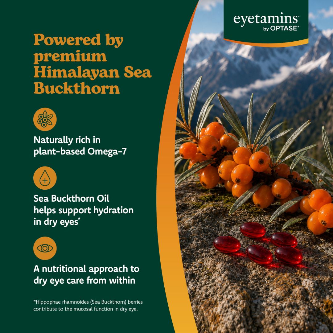 Optase Eyetamins Dry Eye Comfort 60 Softgels ingredient information graphic