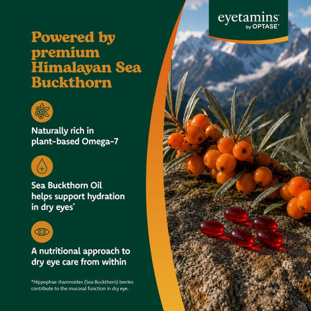 Optase Eyetamins Dry Eye Comfort 60 Softgels ingredient information graphic