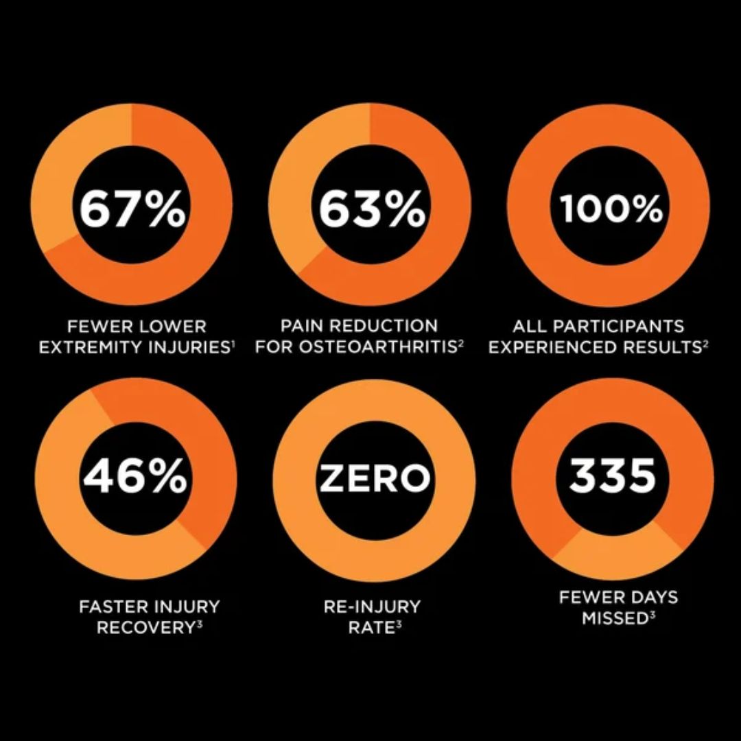 Set of circular progress bars with statistics on a black background