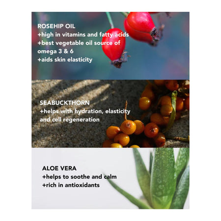 A vertical informational graphic with three botanical panels and text describing ingredients: rosehip oil with red berries, seabuckthorn with orange berries, and aloe vera with green leaves. The layout includes descriptive claims for each ingredient.
