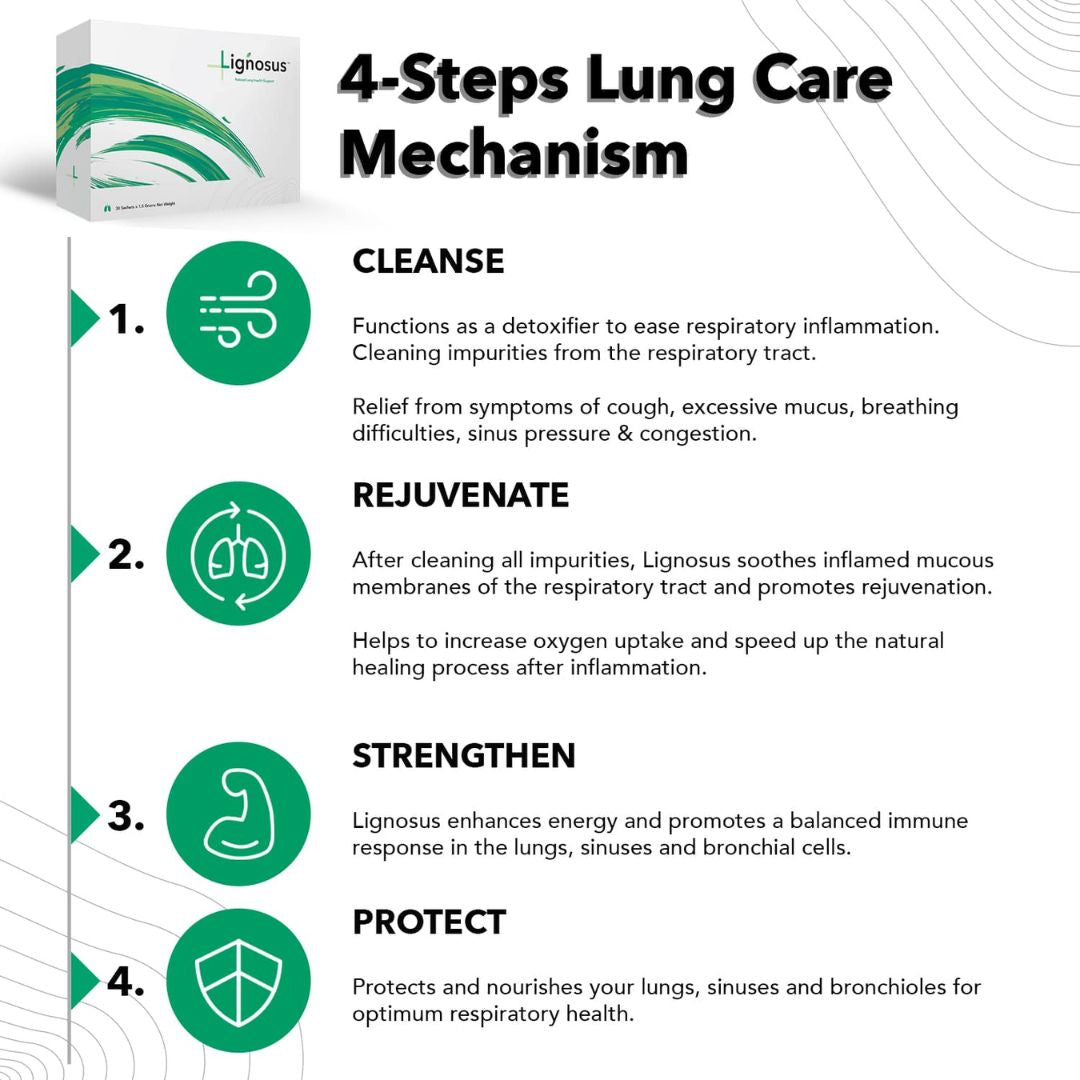 Lignosus Natural Lung Health Support '4 Steps Lung Care Mechanism' graphic
