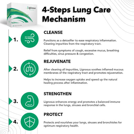 Lignosus Natural Lung Health Support '4 Steps Lung Care Mechanism' graphic