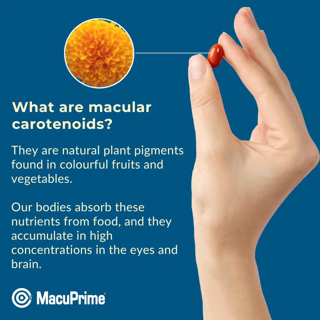 Hand holding a red berry with text about macular carotenoids on a blue background