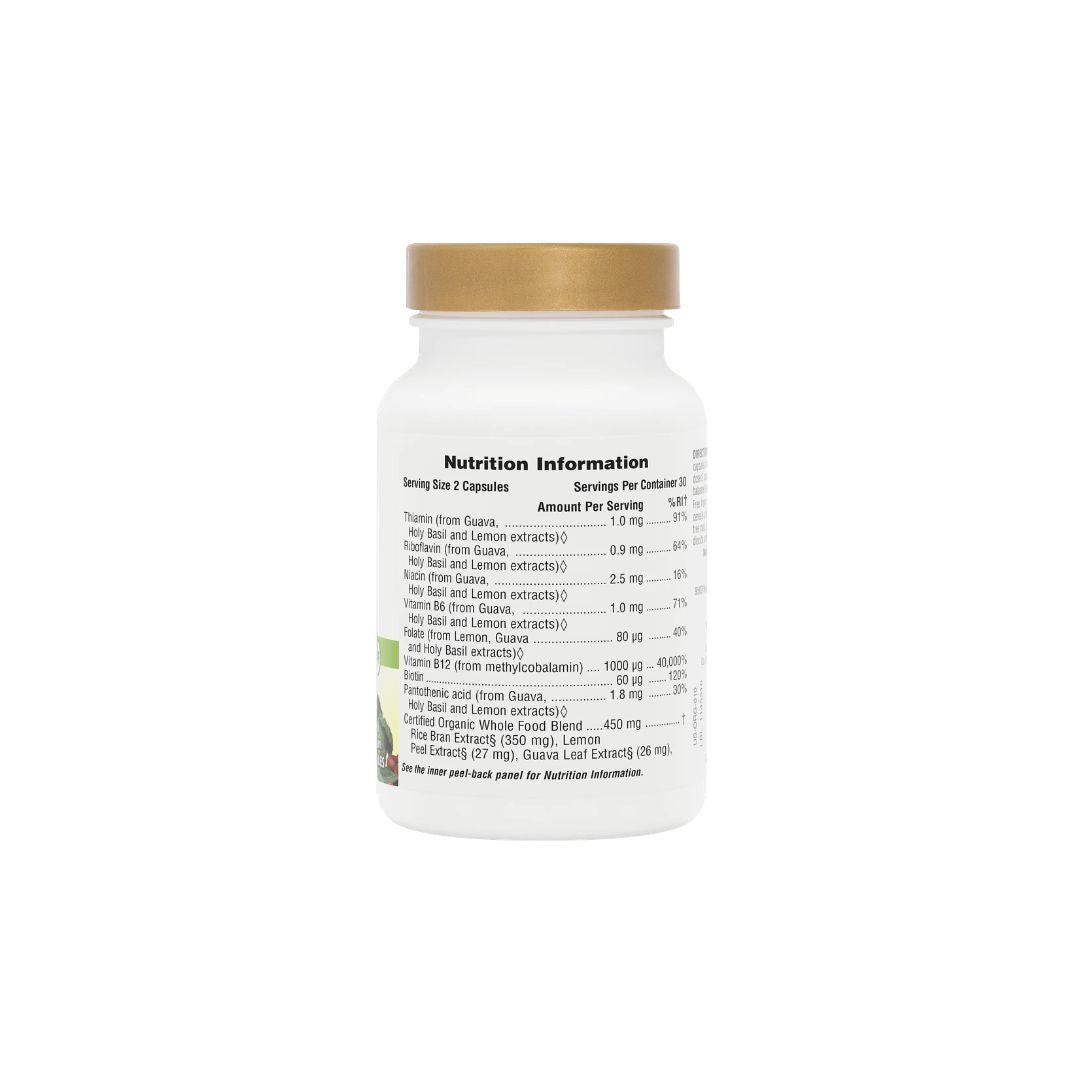NaturesPlus Source of Life Garden Vitamin B12 60 Capsules container (rear angle) on a white background