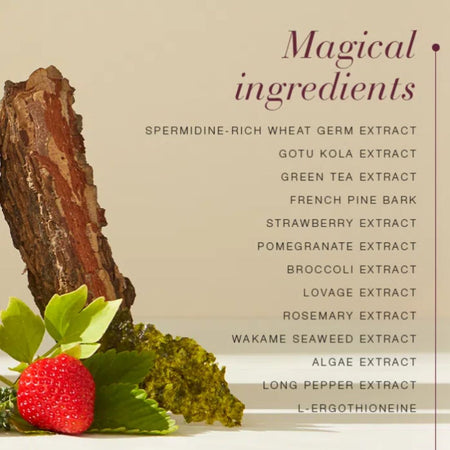 New Nordic Longevity Life Energy 'Magical Ingredients' graphic