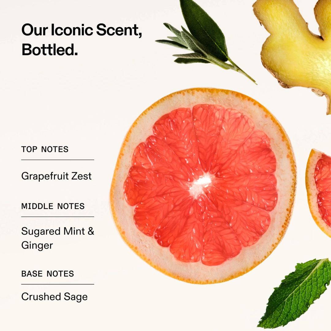 Olaplex No. 5 Bond Mainteance Conditioner - Grapefruit with ginger and mint leaves on a white background, featuring text about top, middle, and base notes.