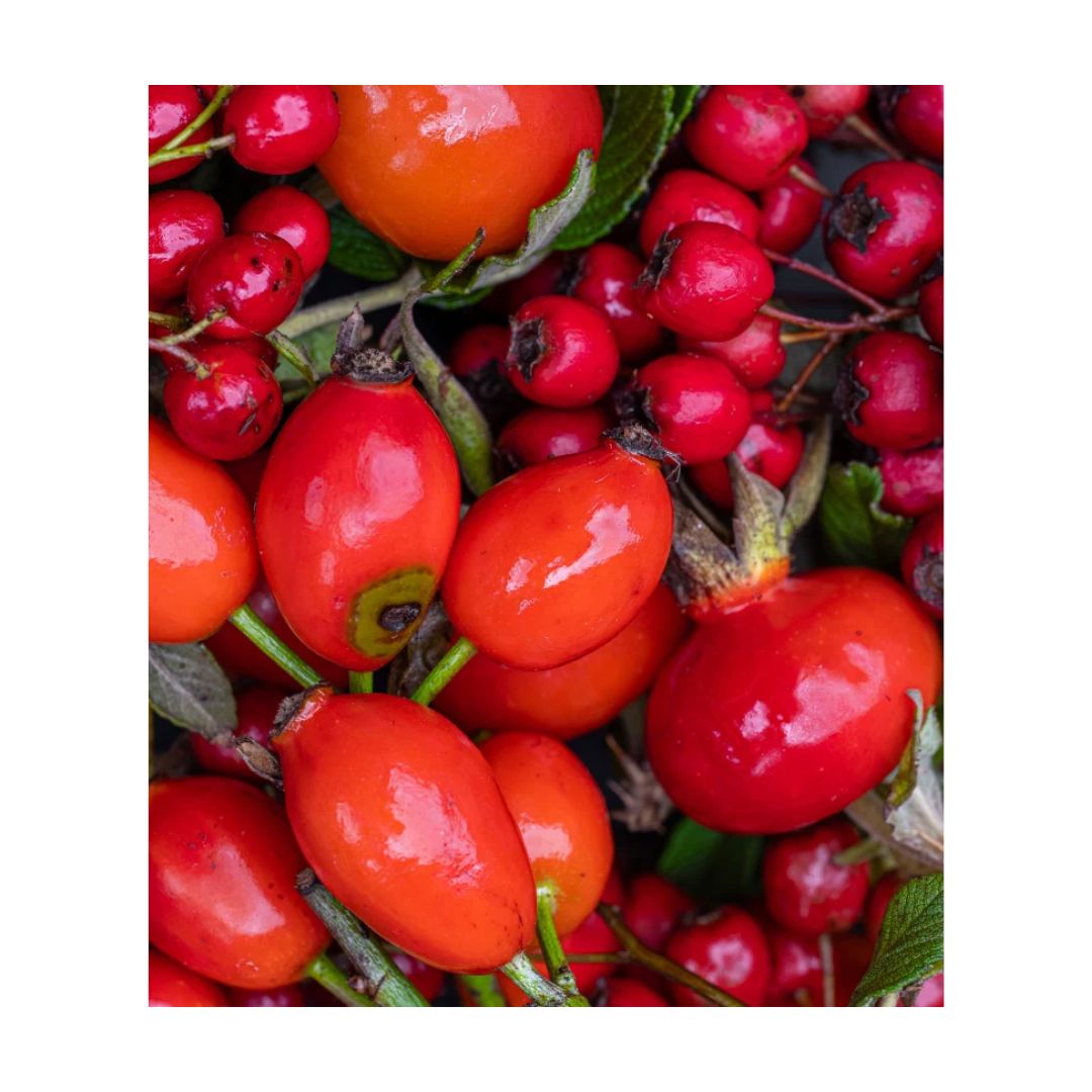 Ultrapure Organic Rosehip Oil 30ml picture of organic rosehip ingredient