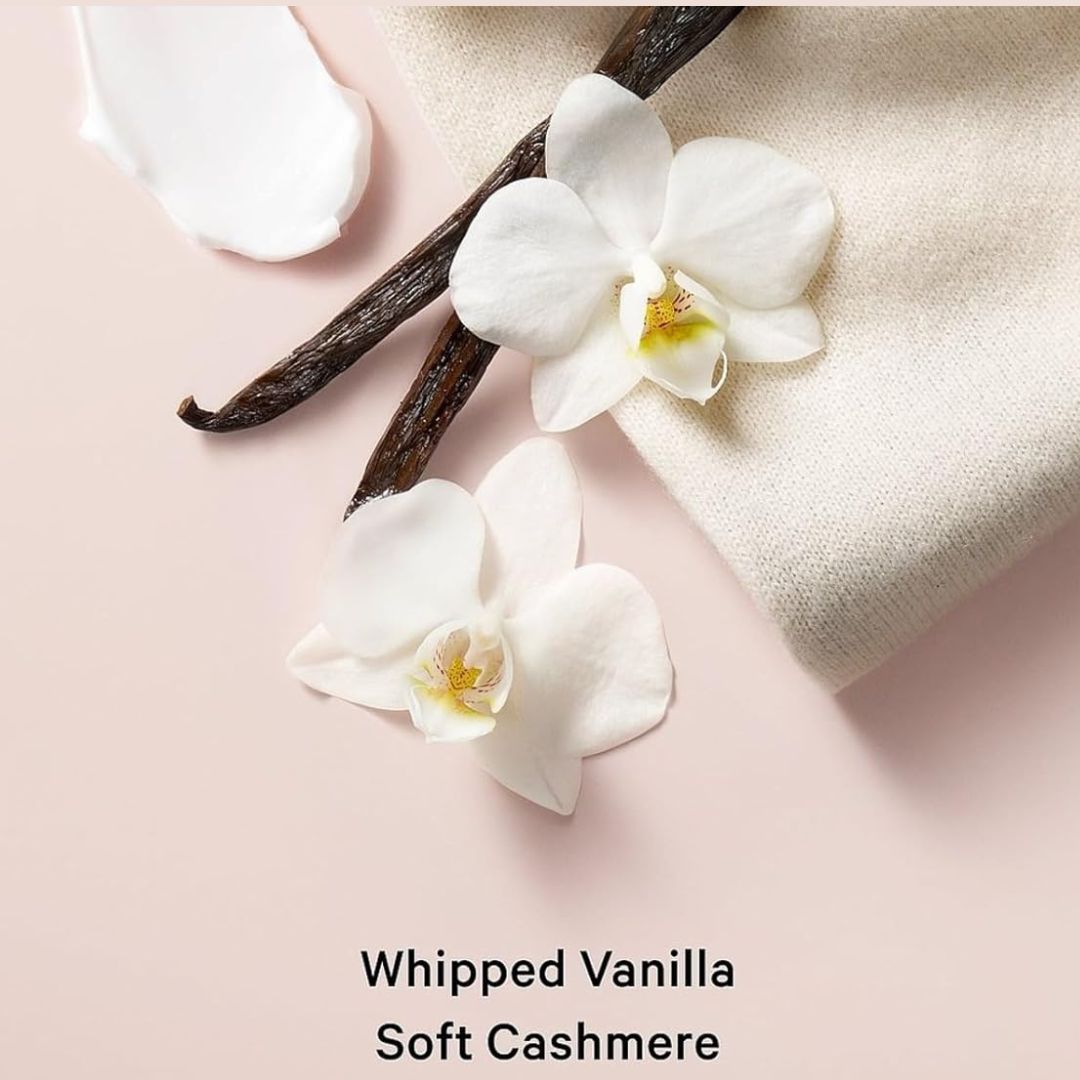 Vanilla beans and white flowers on a pink background with 'Whipped Vanilla Soft Cashmere' text.
