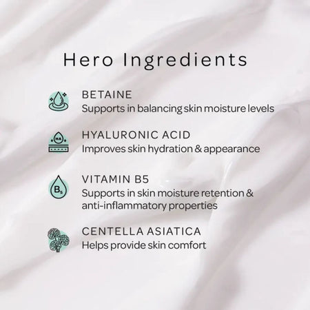 List of hero ingredients with icons and descriptions on a soft, light background