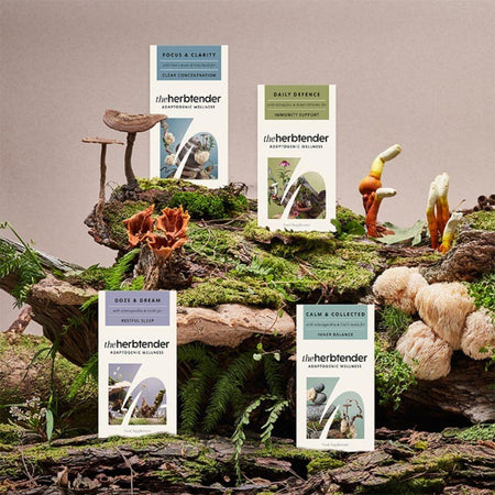 Herb tender product packaging on a natural background with mushrooms and plants.